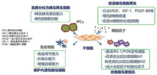 GLP-1 uses GLP-1 uses