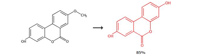 Urolithin A synthesis Urolithin A synthesis