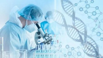 2,6-Pyridinedicarboxylic Acid uses | Shaanxi BLOOM Tech Co., Ltd 2,6-Pyridinedicarboxylic Acid uses | Shaanxi BLOOM Tech Co., Ltd