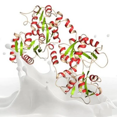 ivermectin tablets | Shaanxi BLOOM Tech Co., Ltd ivermectin tablets | Shaanxi BLOOM Tech Co., Ltd
