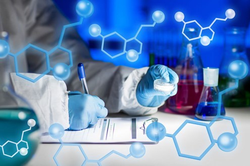 Spermidine Powder | Shaanxi BLOOM Tech Co., Ltd Spermidine Powder | Shaanxi BLOOM Tech Co., Ltd