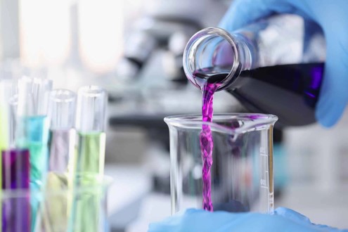Spermidine Powder | Shaanxi BLOOM Tech Co., Ltd Spermidine Powder | Shaanxi BLOOM Tech Co., Ltd