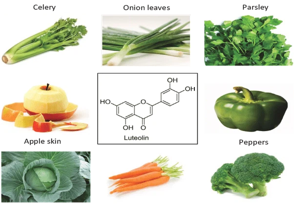 Luteolin Powder CAS 491-70-3 | Shaanxi BLOOM Tech Co., Ltd Luteolin Powder CAS 491-70-3 | Shaanxi BLOOM Tech Co., Ltd
