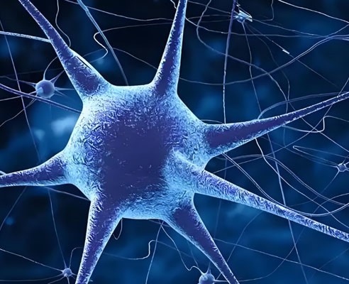 SLU-PP-332 Injection use | Shaanxi BLOOM Tech Co., Ltd SLU-PP-332 Injection use | Shaanxi BLOOM Tech Co., Ltd