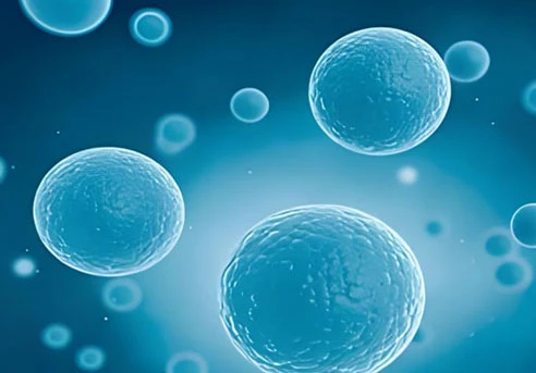 Glutathione Drugs | Shaanxi BLOOM Tech Co., Ltd Glutathione Drugs | Shaanxi BLOOM Tech Co., Ltd
