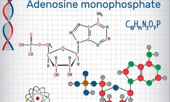 SLU-PP-332 500mcg | Shaanxi BLOOM Tech Co., Lt SLU-PP-332 500mcg | Shaanxi BLOOM Tech Co., Lt