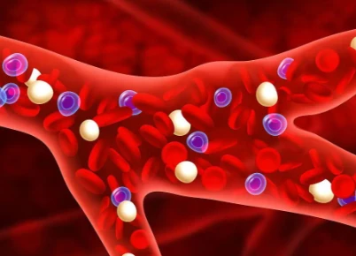 Bioglutide Energy Utilization Pathways | Shaanxi BLOOM Tech Co., Ltd