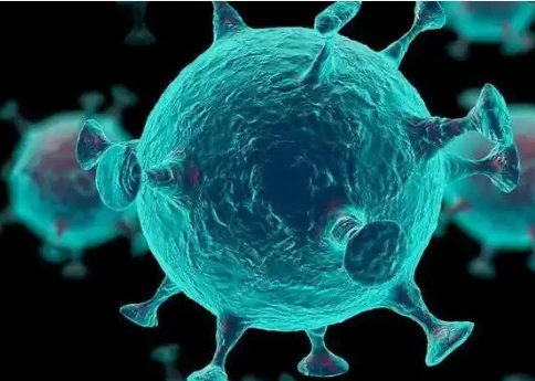 GS-441524 Selectivity And Host Cell Safety Profiles | Shaanxi BLOOM Tech Co., Ltd GS-441524 Selectivity And Host Cell Safety Profiles | Shaanxi BLOOM Tech Co., Ltd