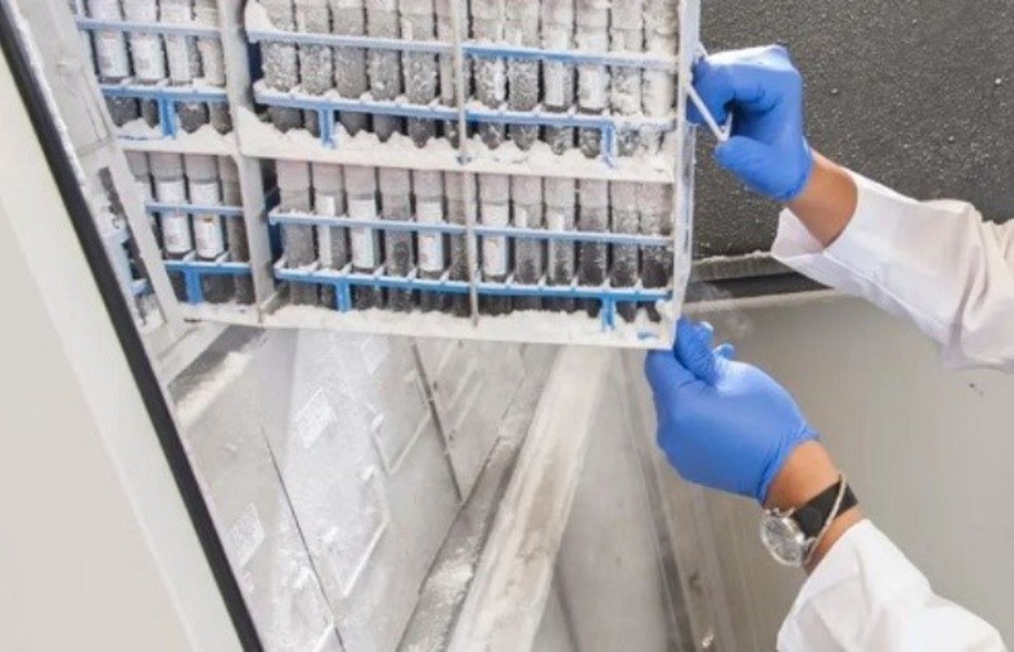 Procaine Powder at extremely low temperatures | Shaanxi BLOOM Tech Co., Ltd Procaine Powder at extremely low temperatures | Shaanxi BLOOM Tech Co., Ltd