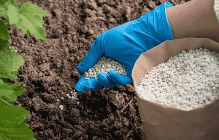 Synthetic chemicals Fertilizers | Shaanxi BLOOM Tech Co., Ltd Synthetic chemicals Fertilizers | Shaanxi BLOOM Tech Co., Ltd