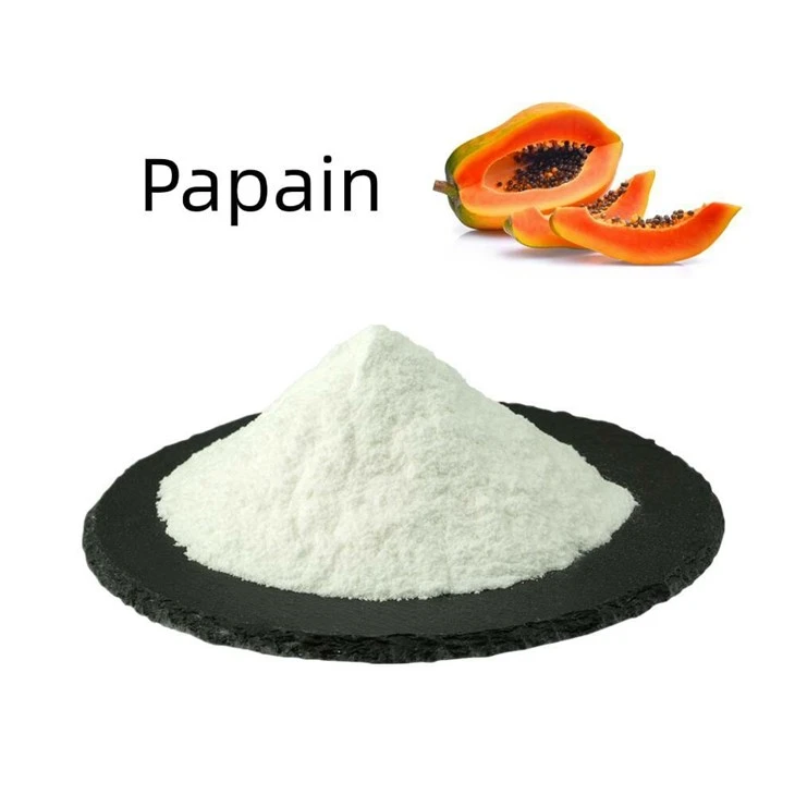Papain Powder CAS 9001-73-4