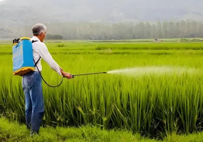 4-Aminoacetophenone structure use | Shaanxi BLOOM Tech Co., Ltd 4-Aminoacetophenone structure use | Shaanxi BLOOM Tech Co., Ltd